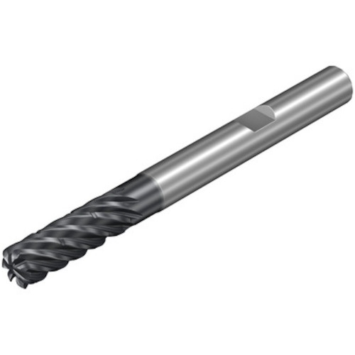 SANDVIK CoroMill Dura 通用加工硬质合金立铣刀 (732) 1730 1K357-1000-200-XD 1730