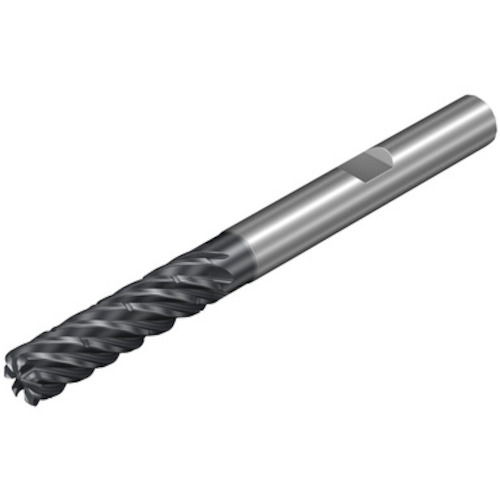 SANDVIK CoroMill Dura 通用加工硬质合金立铣刀 (732) 1730 1K377-0600-100-XD 1730